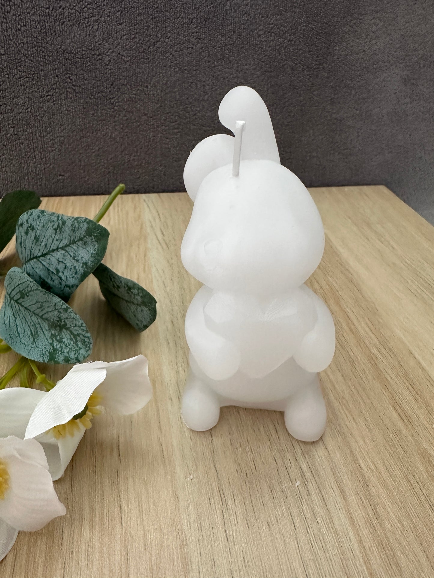 Rabbits with heart