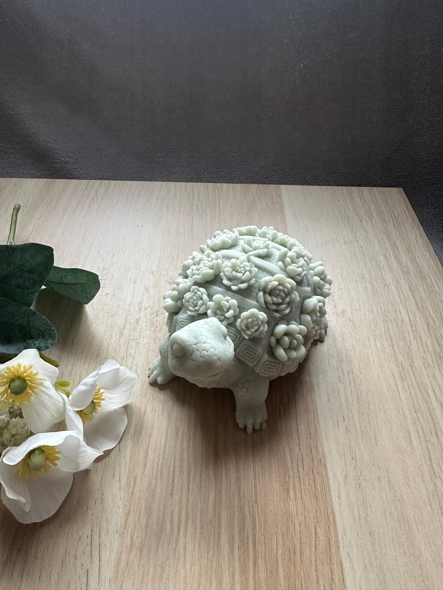 tortoise