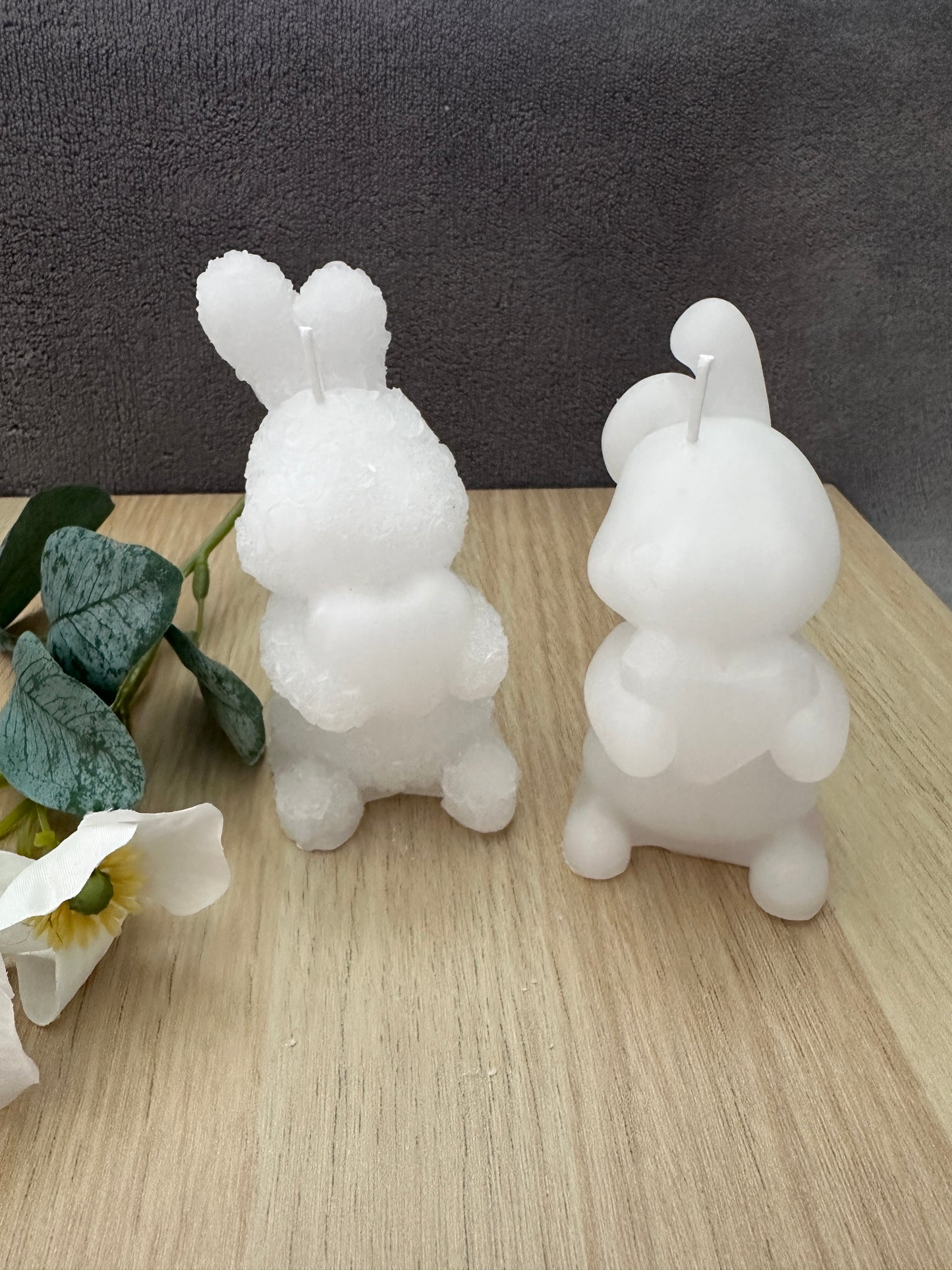 Rabbits with heart