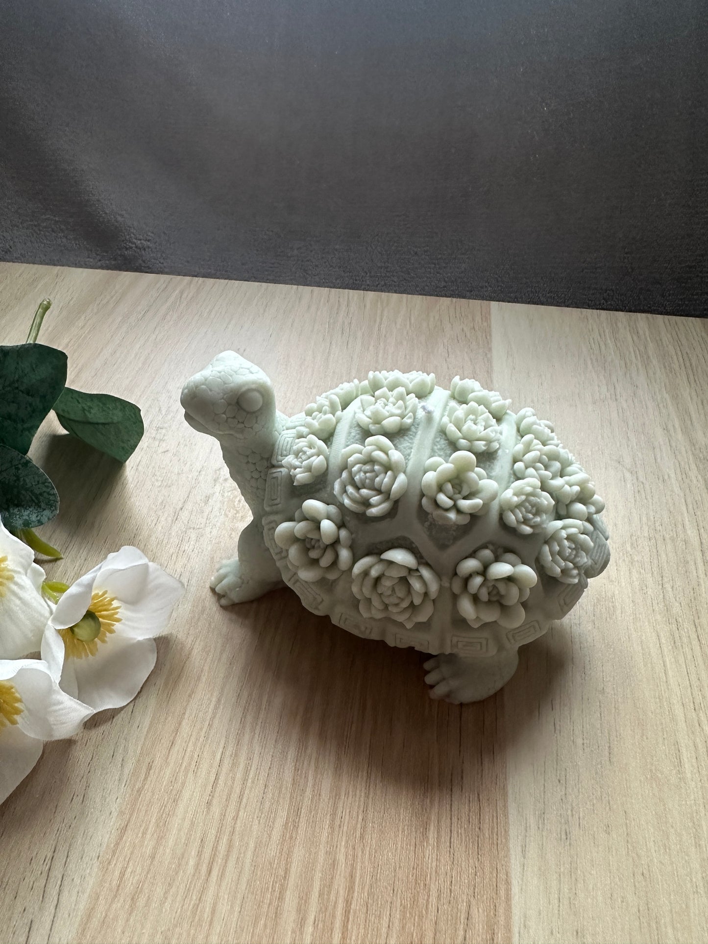 tortoise